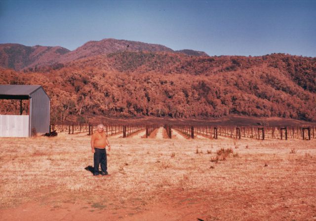 1983 - Emo pictured after the Ash Wednesday Bushfires came ever so close to to destroying the new vineyard
